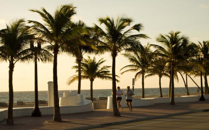 Joggeurs sur la promenade bordée de palmiers au lever du soleil