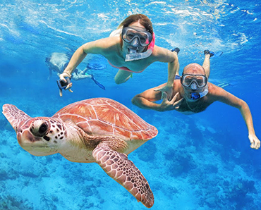 Plongée avec masque et tuba au-dessus d'une tortue de mer